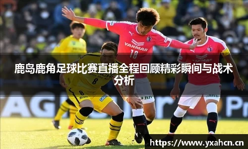 平博pinnacleAPP
