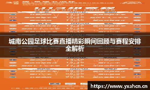 城南公园足球比赛直播精彩瞬间回顾与赛程安排全解析